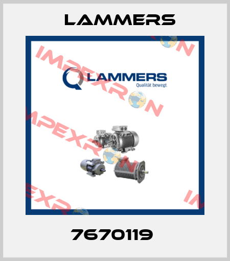 7670119  Lammers