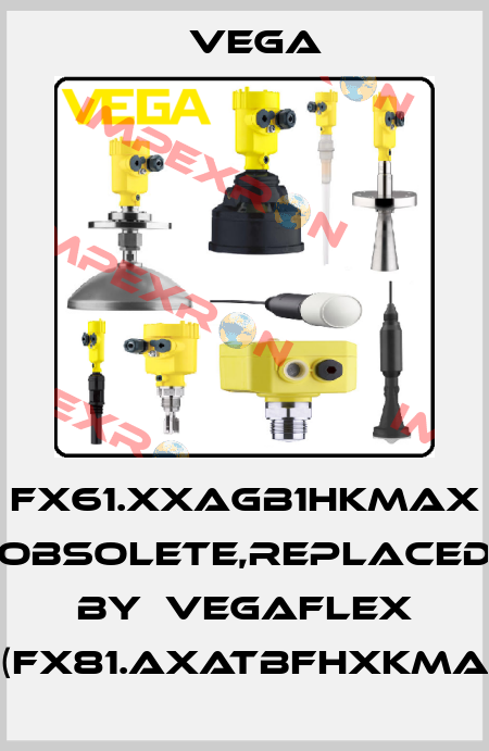FX61.XXAGB1HKMAX obsolete,replaced by  VEGAFLEX 81(FX81.AXATBFHXKMAX) Vega