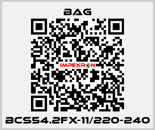 BCS54.2FX-11/220-240 Bag