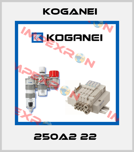 250A2 22  Koganei