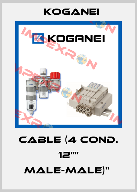 CABLE (4 COND. 12"" MALE-MALE)"  Koganei