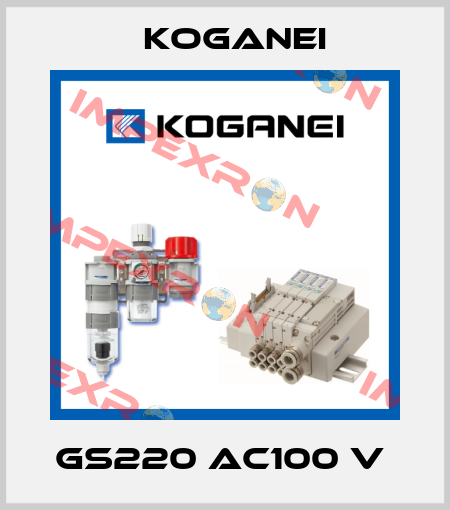 GS220 AC100 V  Koganei