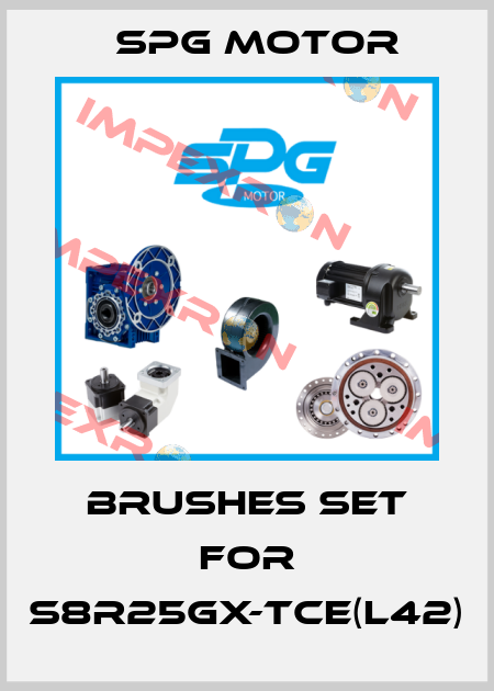 Brushes set for S8R25GX-TCE(L42) Spg Motor