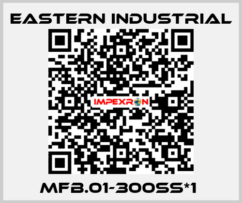 MFB.01-300SS*1  Eastern Industrial