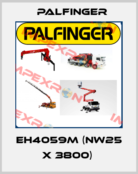 EH4059M (NW25 x 3800)  Palfinger