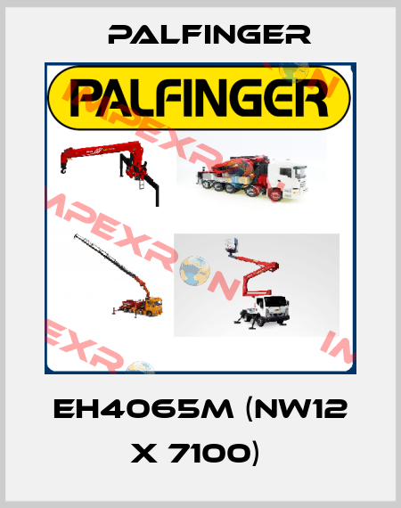 EH4065M (NW12 x 7100)  Palfinger