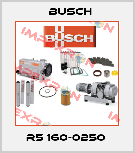 R5 160-0250  Busch