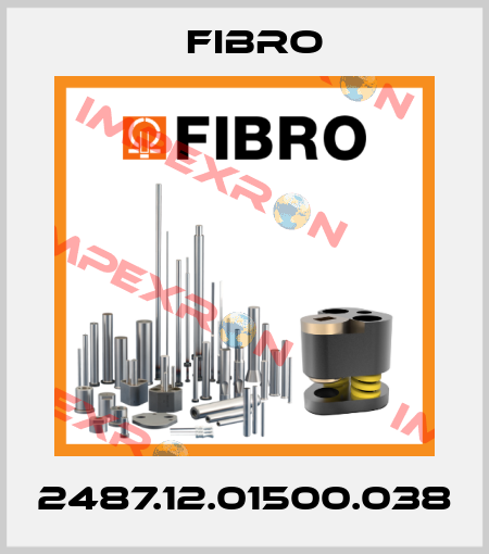 2487.12.01500.038 Fibro