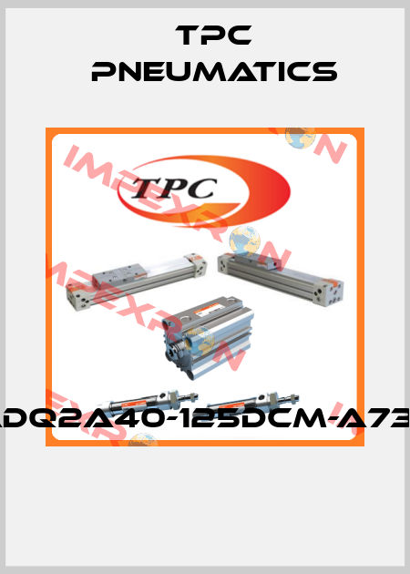 ADQ2A40-125DCM-A73K  TPC Pneumatics
