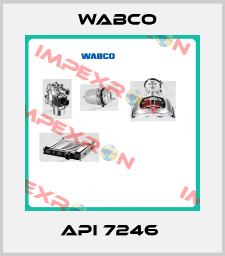API 7246  Wabco