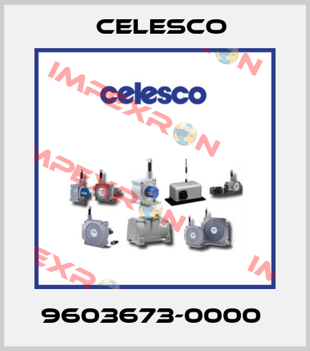 9603673-0000  Celesco