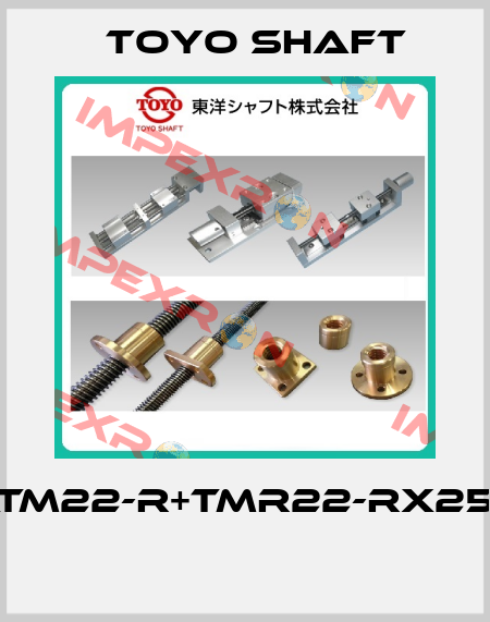 ATM22-R+TMR22-RX256  Toyo Shaft