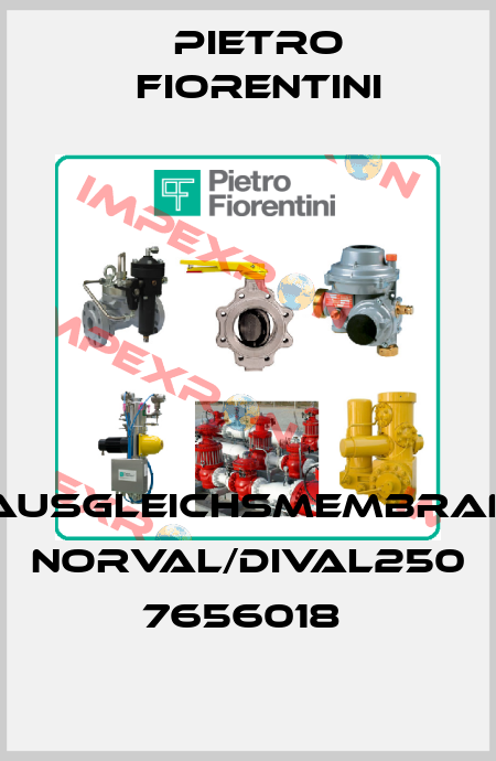 AUSGLEICHSMEMBRAN NORVAL/DIVAL250   7656018  Pietro Fiorentini
