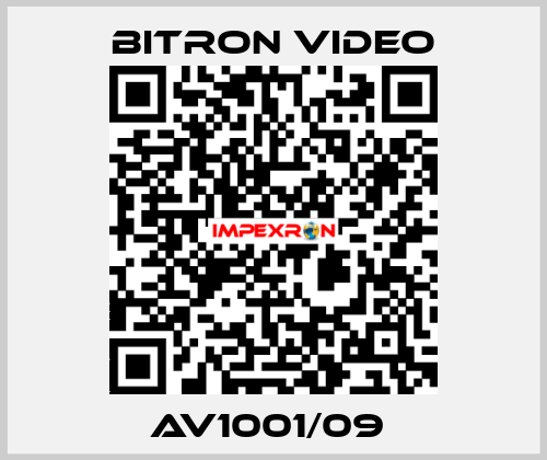 AV1001/09  Bitron video