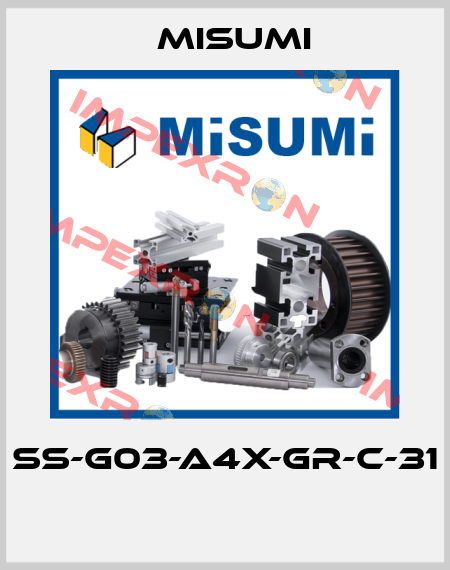 SS-G03-A4X-GR-C-31  Misumi