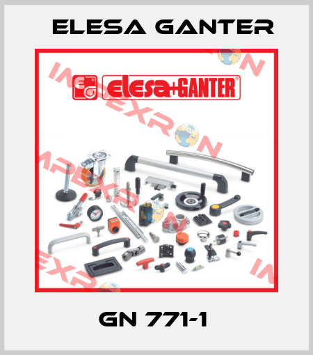 GN 771-1  Elesa Ganter