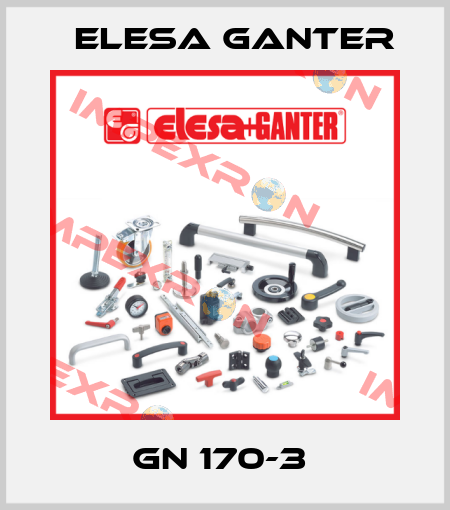GN 170-3  Elesa Ganter