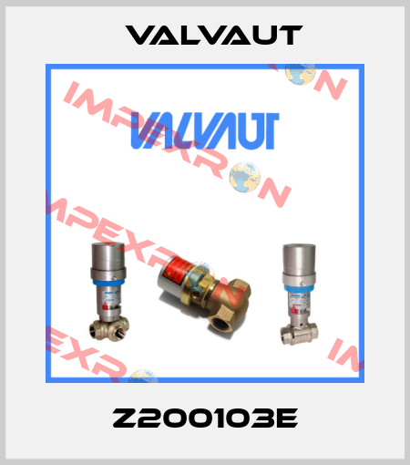 Z200103E Valvaut