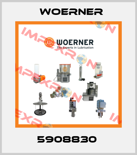 5908830  Woerner