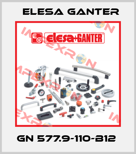 GN 577.9-110-B12  Elesa Ganter
