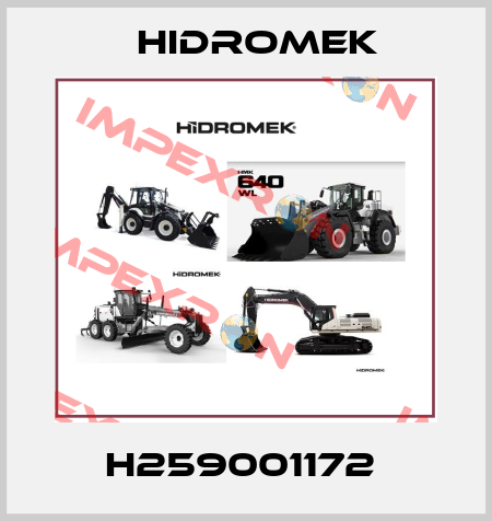 H259001172  Hidromek