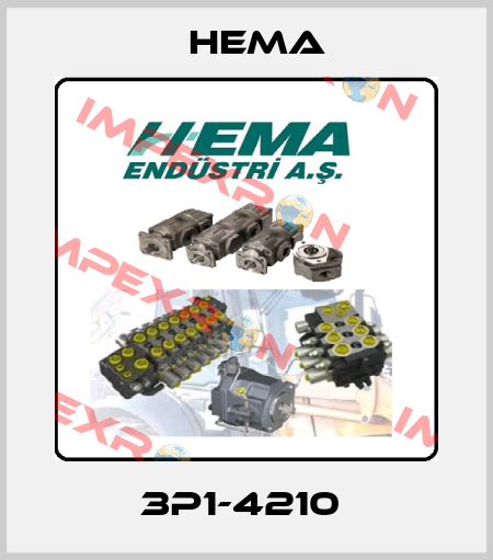 3P1-4210  Hema