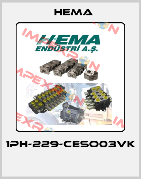 1PH-229-CESO03VK  Hema