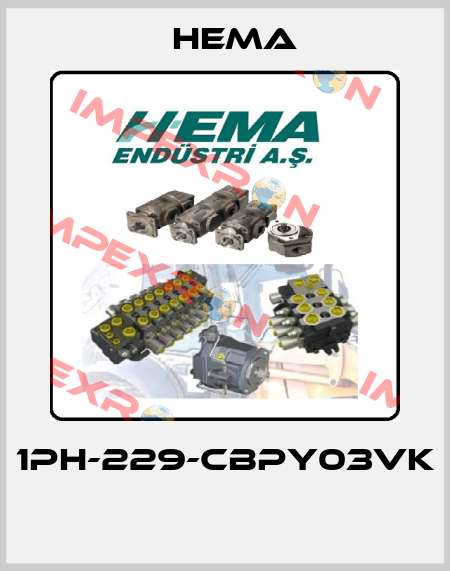 1PH-229-CBPY03VK  Hema