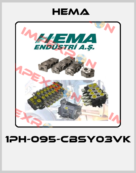 1PH-095-CBSY03VK  Hema