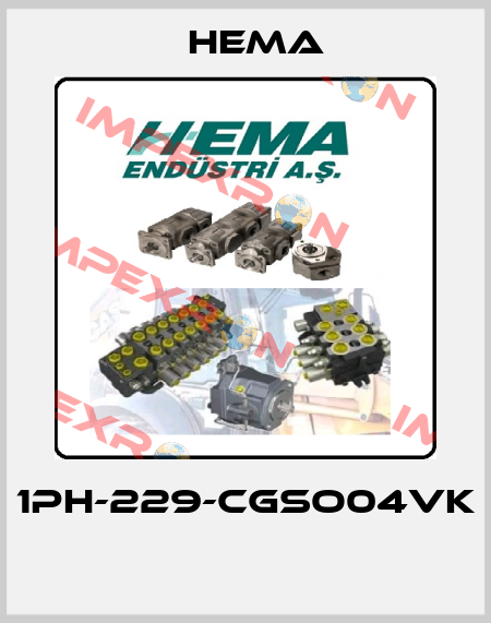 1PH-229-CGSO04VK  Hema