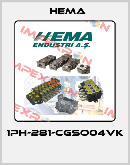 1PH-281-CGSO04VK  Hema