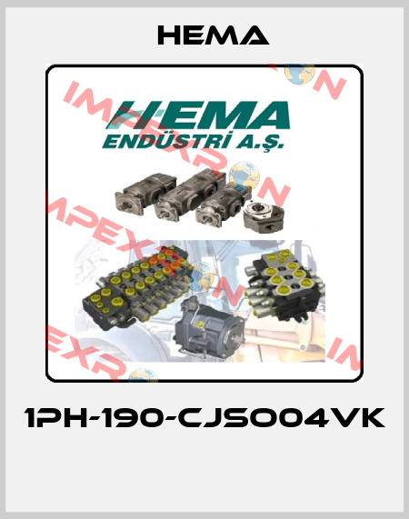 1PH-190-CJSO04VK  Hema