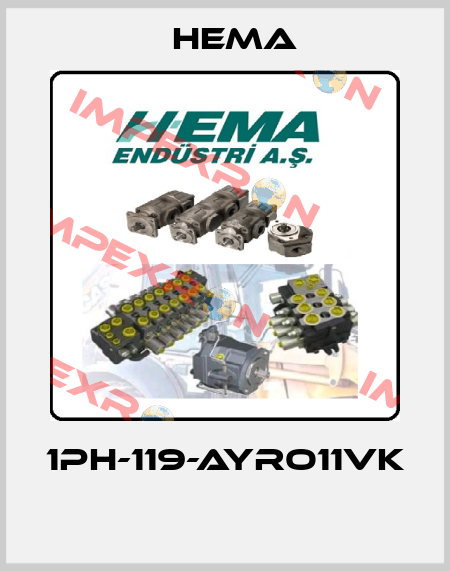 1PH-119-AYRO11VK  Hema