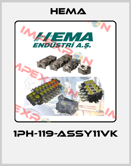 1PH-119-ASSY11VK  Hema