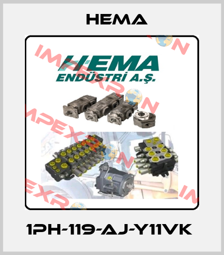 1PH-119-AJ-Y11VK  Hema