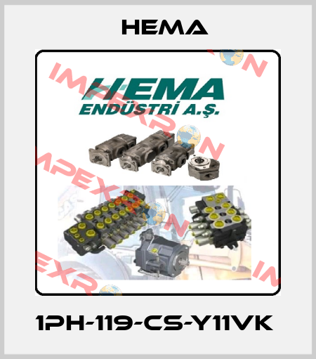 1PH-119-CS-Y11VK  Hema