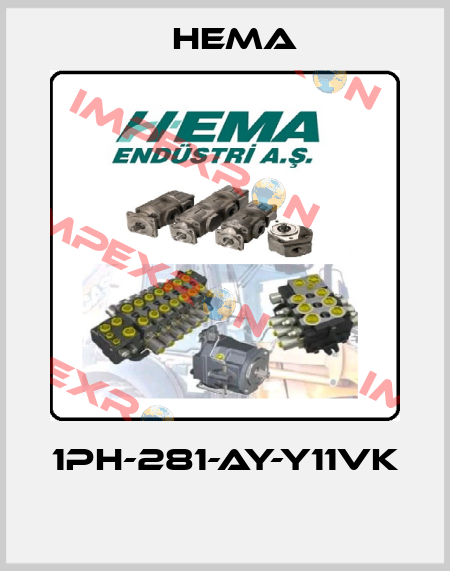 1PH-281-AY-Y11VK  Hema