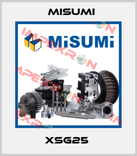 XSG25  Misumi