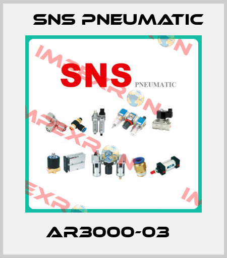 AR3000-03   SNS Pneumatic