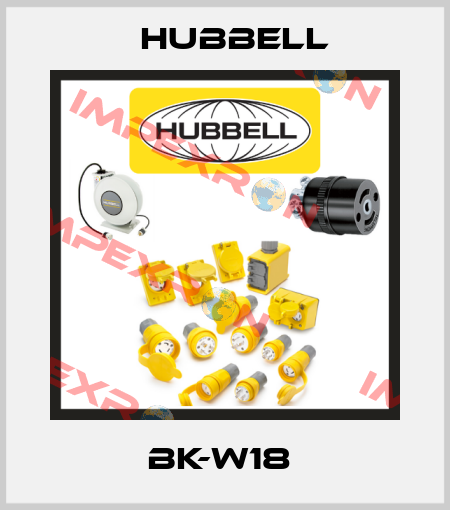 BK-W18  Hubbell