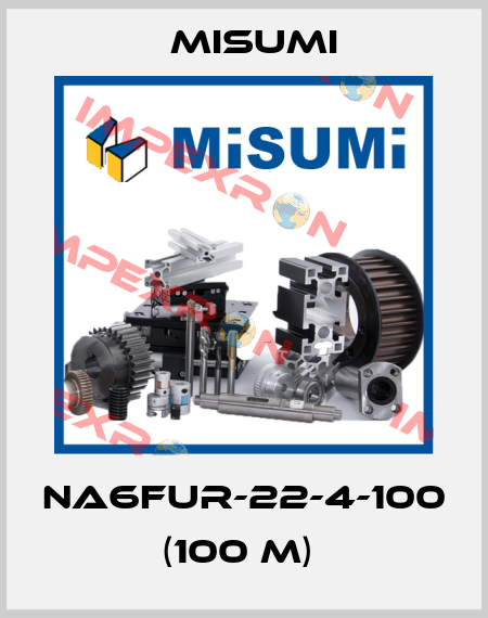 NA6FUR-22-4-100 (100 m)  Misumi