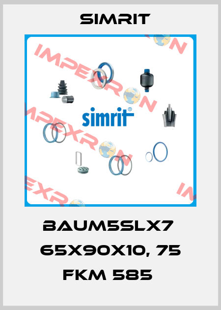 BAUM5SLX7  65X90X10, 75 FKM 585  SIMRIT