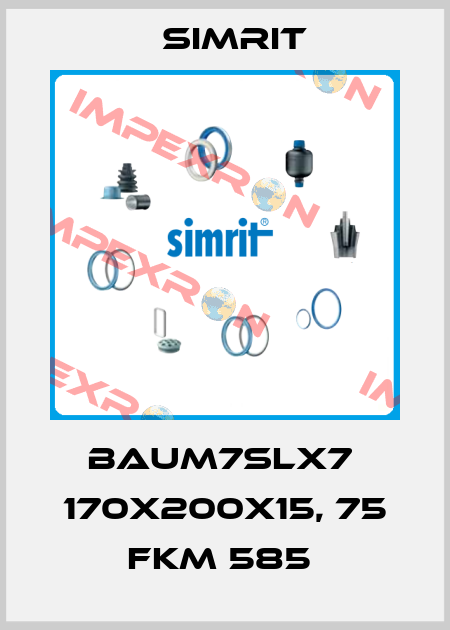 BAUM7SLX7  170X200X15, 75 FKM 585  SIMRIT