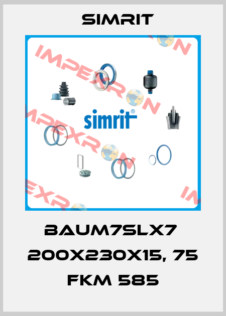 BAUM7SLX7  200X230X15, 75 FKM 585 SIMRIT