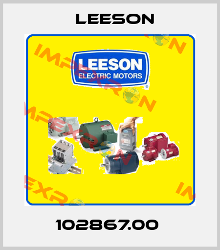 102867.00  Leeson