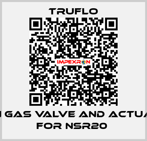 Main Gas Valve and Actuator For NSR20  TRUFLO