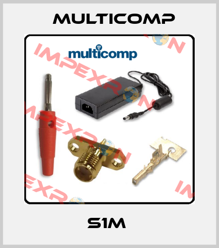 S1M  Multicomp