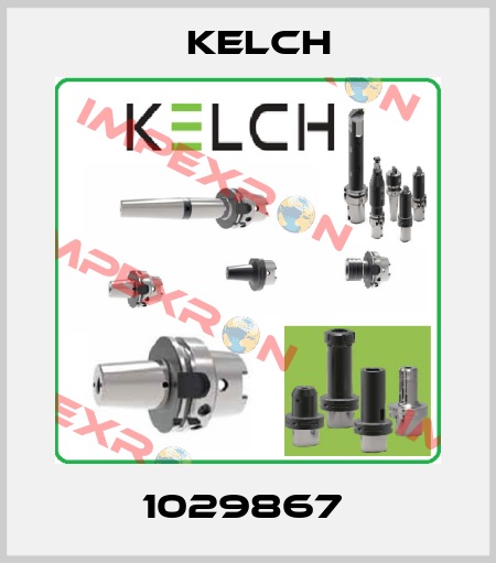 1029867  Kelch