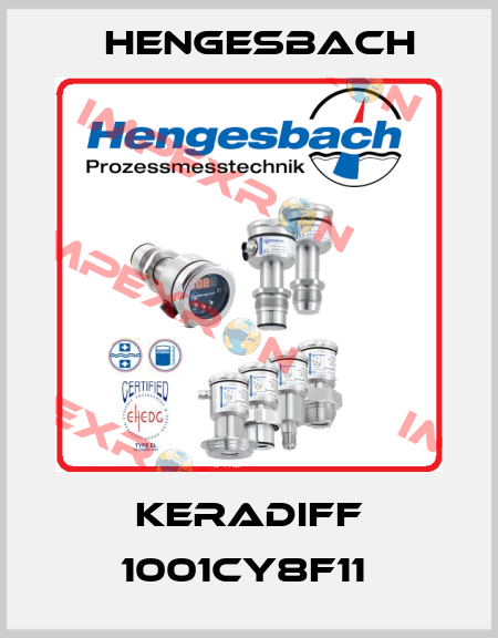 KERADIFF 1001CY8F11  Hengesbach