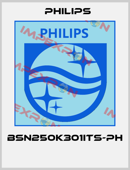 BSN250K301ITS-PH  Philips